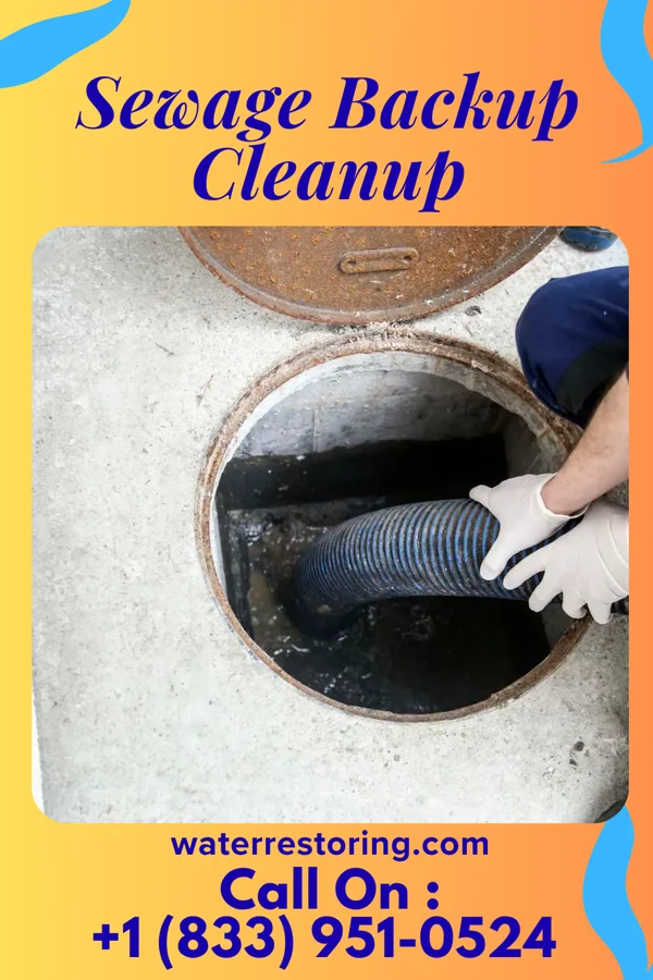 Sewage Backup Cleanup in Durand, WI