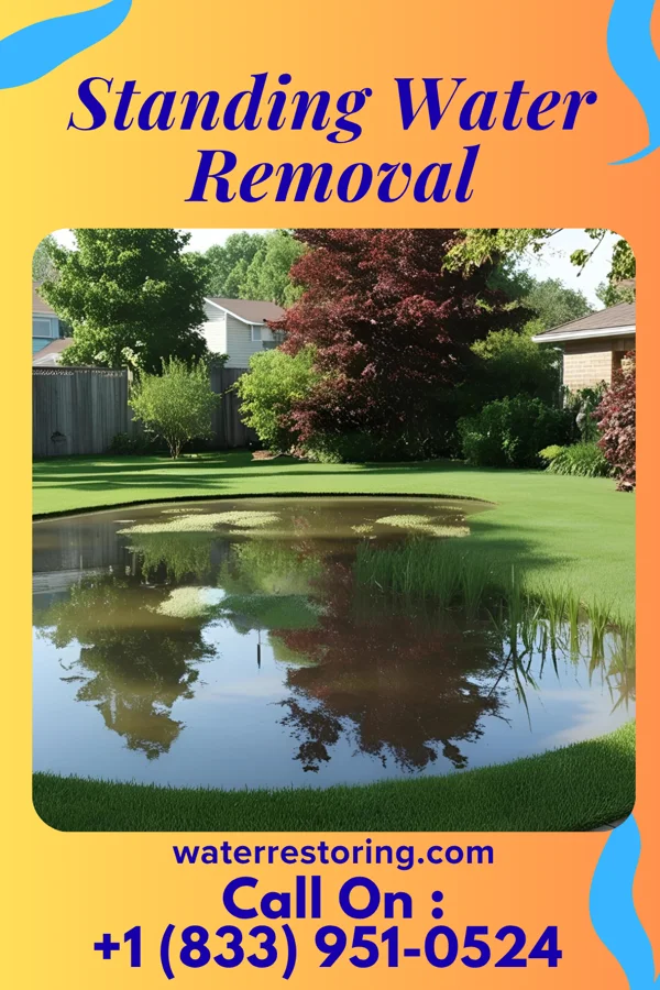 Standing Water Removal in Durand, WI